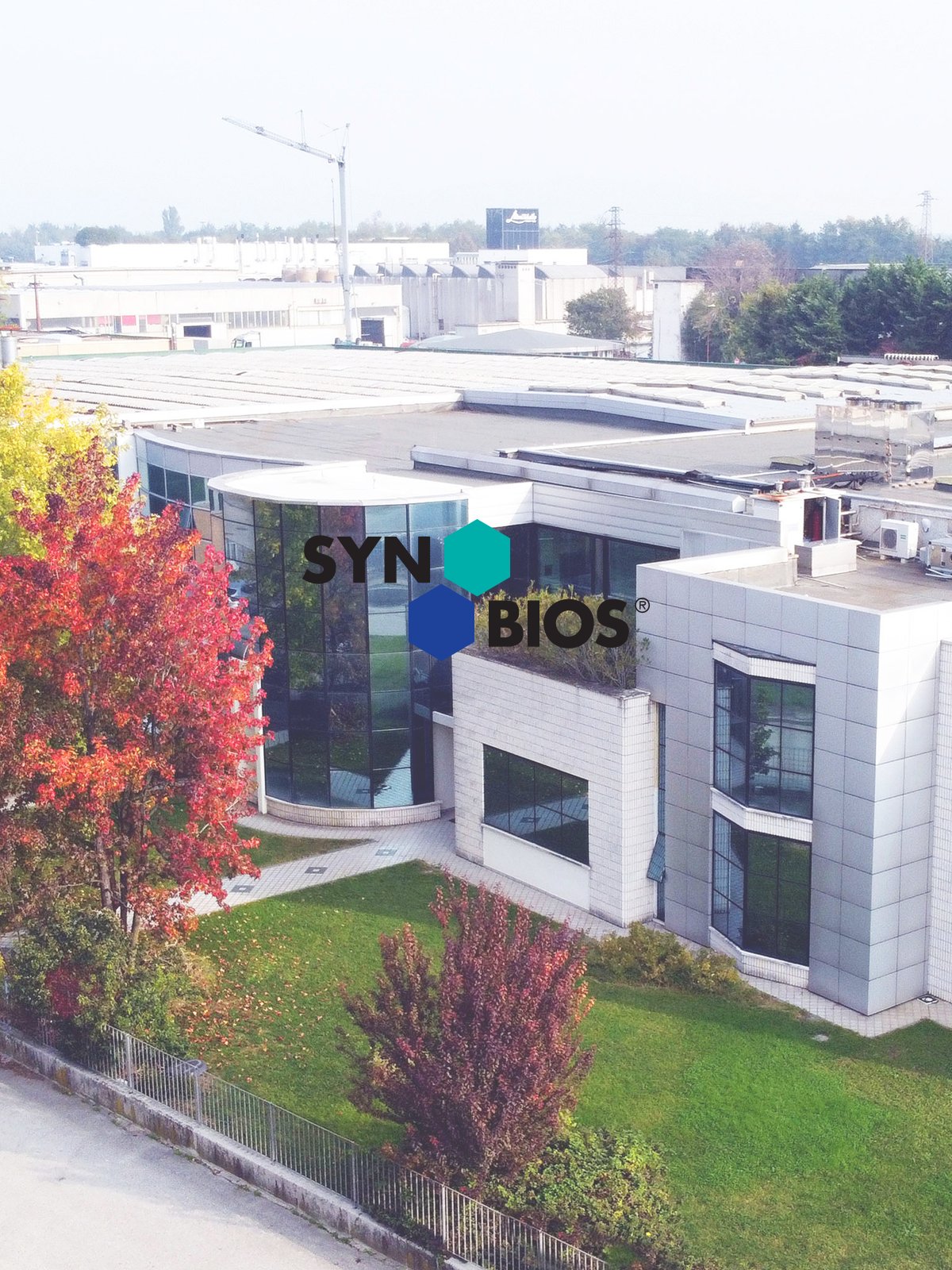 SYN-BIOS SPA: competitiveness and innovation