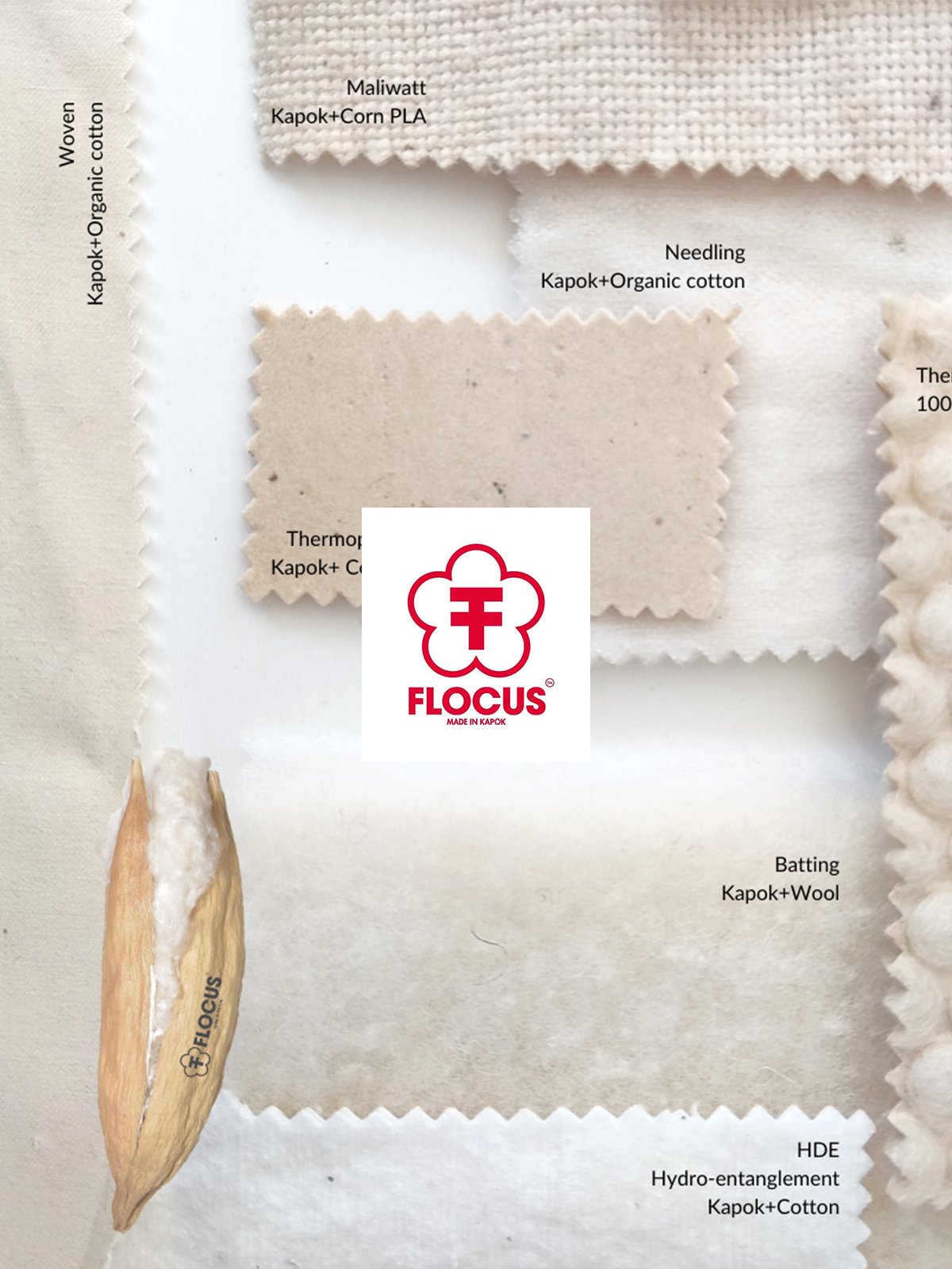 Chi Ri-Cerca Trova: Textiles, the sustainable alternative is called kapok